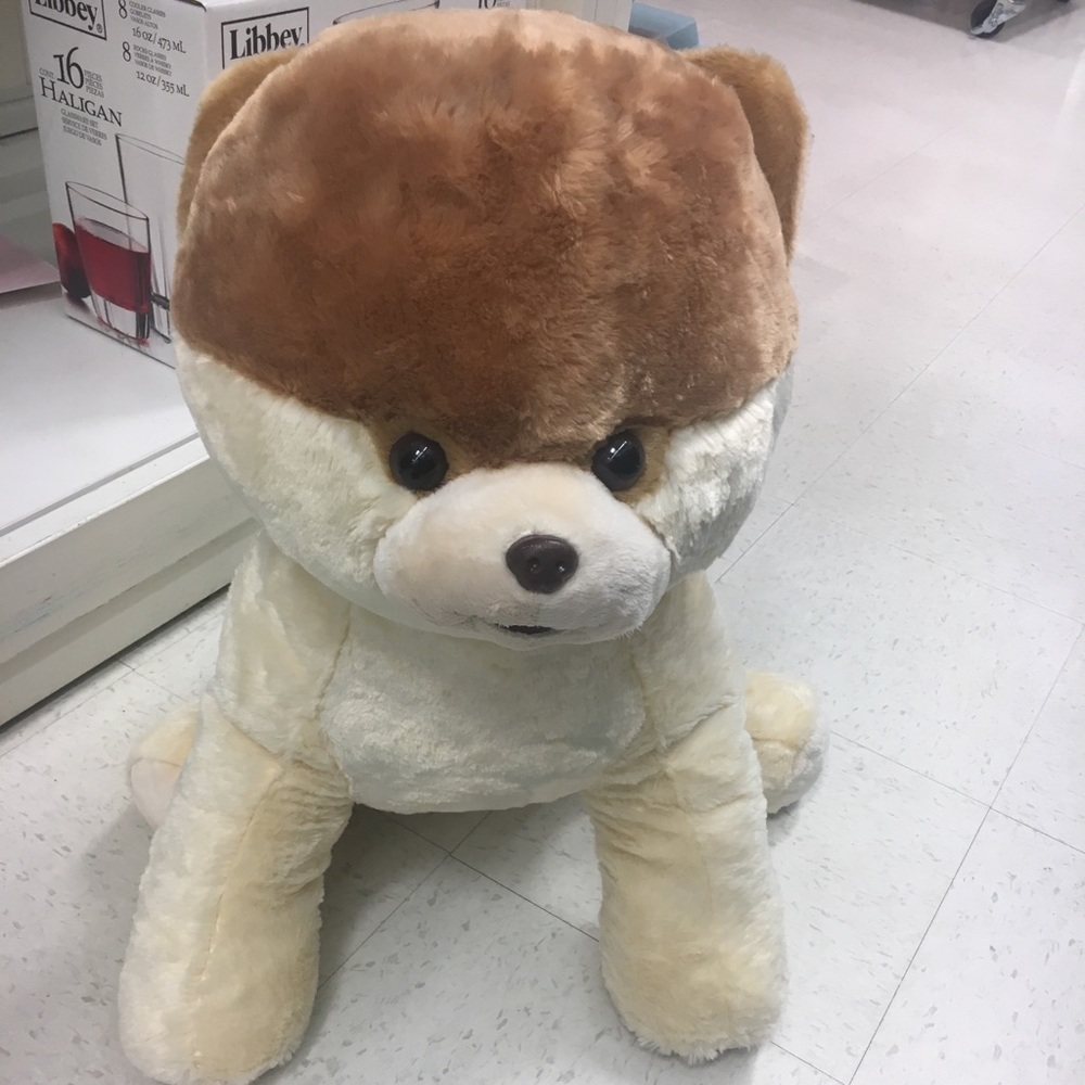 Meet your Posher, Fiona